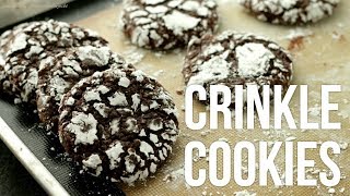 Fudgy Chocolate Crinkle Cookies How to Make Crinkles Recipe [upl. by Boccaj851]