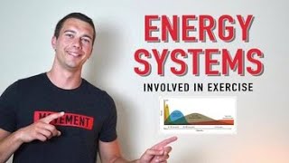 CSCS Chapter 3 Bioenergetics  Energy Systems During Exercise and How ATP is Made [upl. by Helgeson]