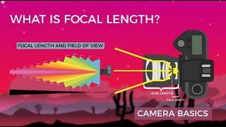 Camera Basics  Focal Length [upl. by Euqinim]