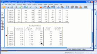 Cronbachs Alpha  SPSS part 2 [upl. by Gabriella]