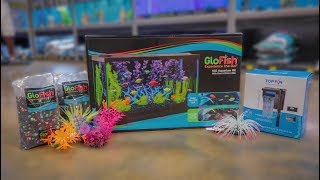 NEW GLOFISH 10G AQUARIUM SETUP [upl. by Mile268]