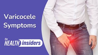 Varicocele Symptoms and Causes [upl. by Annal]