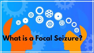 What is a focal seizure [upl. by Tenaj292]