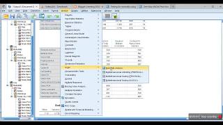 Reliability analysis using Cronbachs Alpha using SPSS [upl. by Hollie215]