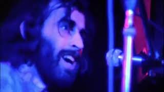 Richard Manuel  I shall be released [upl. by Ahtnama]