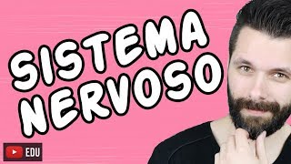 SISTEMA NERVOSO  FISIOLOGIA  Aula  Biologia com Samuel Cunha [upl. by Orsino267]