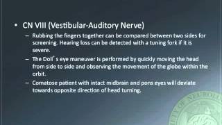 Neurological and Neurotrauma Assessment [upl. by Elitnahc]