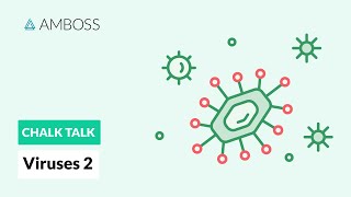 Viruses  Part 2 DNA vs RNA Viruses [upl. by Himelman]