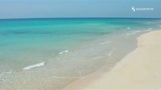 Le più belle spiagge del Salento  Pescoluse Torre Pali Torre Vado  SalentoStay [upl. by Claudell347]