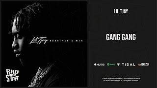 Lil Tjay  Gang Gang Destined 2 Win [upl. by Zebedee]