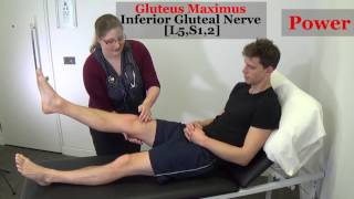 Lower Limb Neurological Exam [upl. by Keisling859]