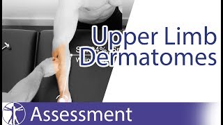 Dermatomes Upper Limb  Peripheral Neurological Examination [upl. by Htebizile]