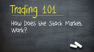 Trading 101 How Does the Stock Market Work [upl. by Elcarim]