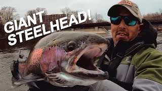 How to Steelhead Fish Great Lakes Rivers GIANTS Caught [upl. by Linea]