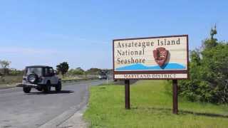 Assateague Island National Seashore Oversand Vehicle Zone [upl. by Lebasile88]