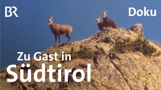 Berggasthöfe und Buschenschänken in Südtirol  Unter unserem Himmel  BR  Doku  Berge [upl. by Annoiek437]