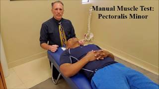 Manual Muscle Testing MMT Pectoralis Minor Pec Minor [upl. by Savanna]