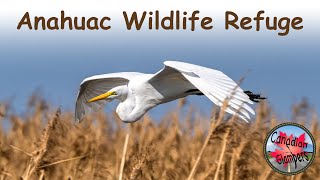 Anahuac Wildlife Refuge [upl. by Kcir]