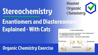 Enantiomers and Diastereomers Explained  With Cats [upl. by Solokin366]