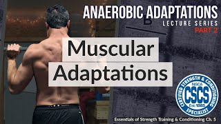 Muscular Adaptations to Anaerobic Training  CSCS Chapter 5 [upl. by Barrington]