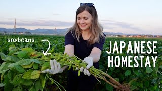 My Japanese Farm Homestay Experience 🌾 [upl. by Ailehpo]