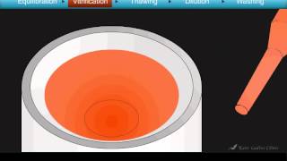 Cryotop Oocyte Vitrification Animation [upl. by Colis890]