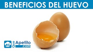 8 Propiedades y Beneficios del Huevo  QueApetito [upl. by Suhsoj]