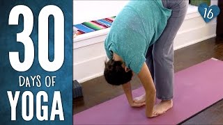 Day 16  Easy Breezy Beautiful Yoga  30 Days of Yoga [upl. by Kcid]