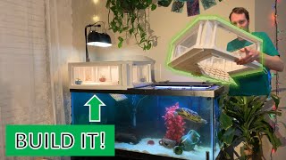 DIY Above Tank Basking Platform for Turtles  Grecian Theme  Step By Step Build  Part 1 [upl. by Coombs]