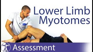 Myotomes Lower Limb  Peripheral Neurological Examination [upl. by Oicnaneb402]