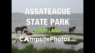 Assateague State Park  Maryland [upl. by Isaacs]