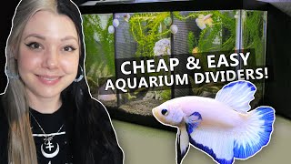 DIY Aquarium Divider [upl. by Yelrah]