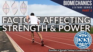 Factors Affecting Muscle Strength and Power  CSCS Chapter 2 [upl. by Toth]