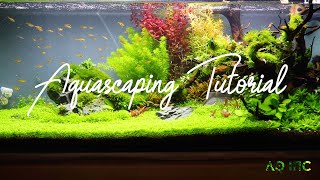 Step by Step Aquascaping Tutorial 200L [upl. by Abernon]